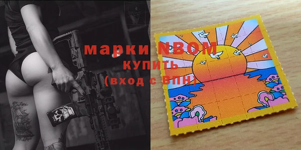 гашик Баксан