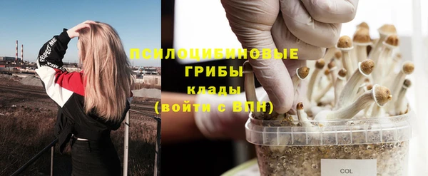 мет Белокуриха