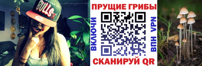 Псилоцибиновые грибы ЛСД  Билибино 